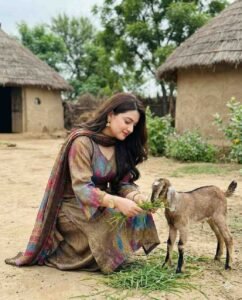 Gemini Prompts Special Looking village style